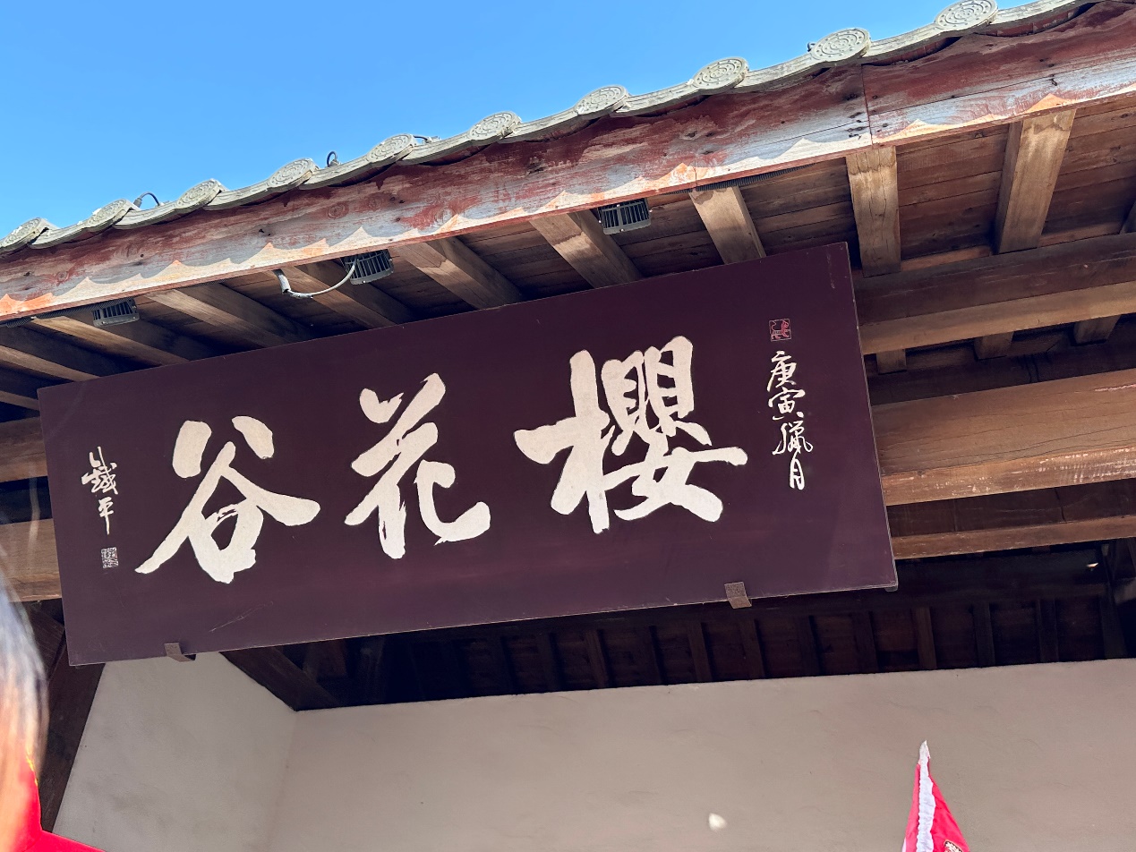 工会旅游邂逅初春 享受惬意——华义制药无锡苏州&望仙谷葛仙山之旅